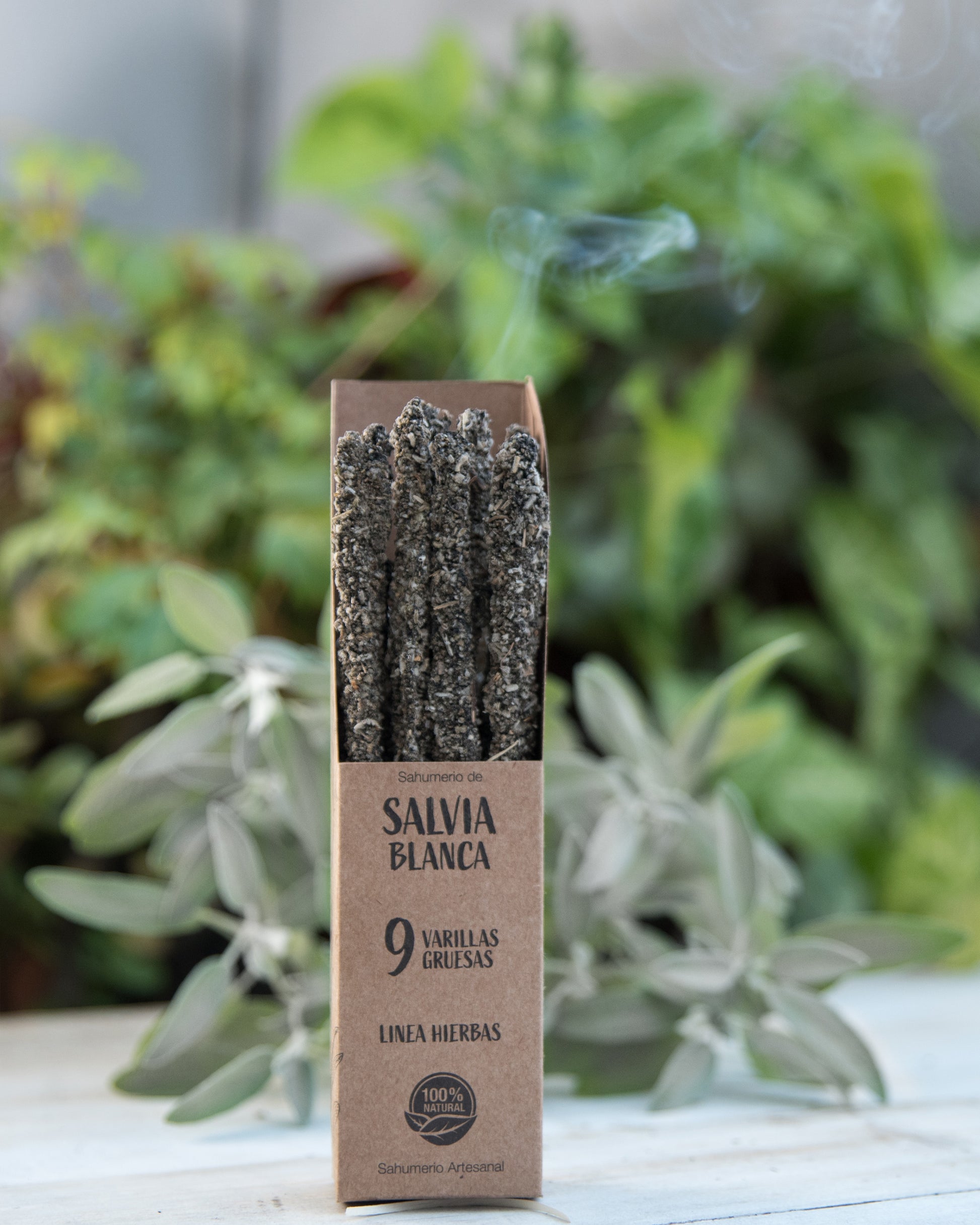 Sagrada Madre Salbei Verpackung Close Up